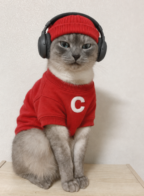 심예은 / 글로벌라이제이션1팀 데일리룩 3