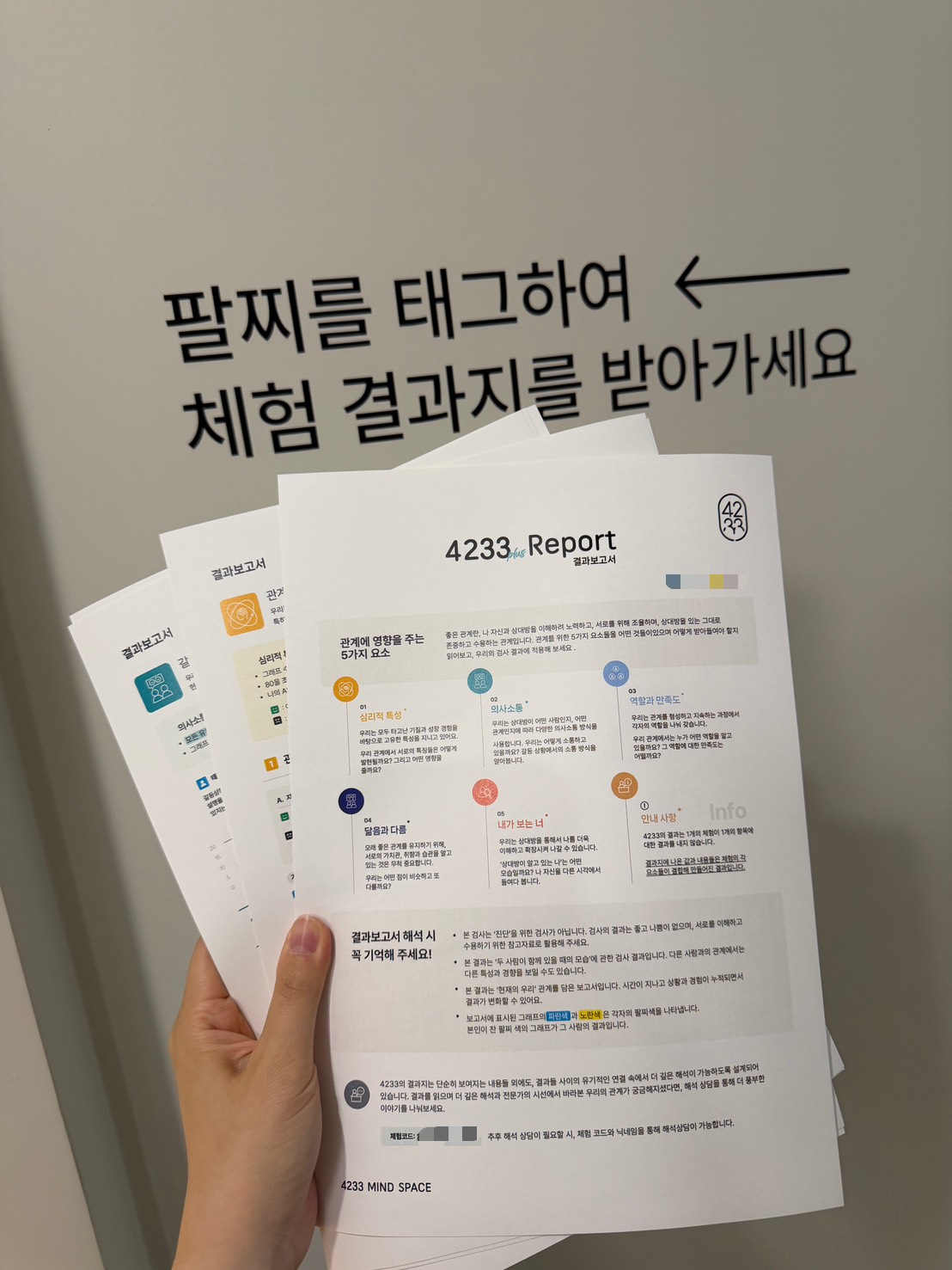 4233 결과 보고서